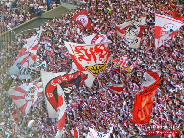 2016_05_07_VfB-Mainz_09