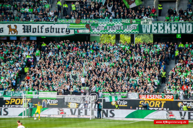 2016_05_14_Wolfsburg-VfB_31