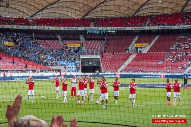 2014_09_20_VfB-Hoffenheim_04