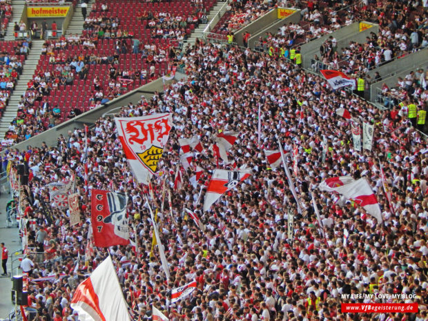 2014_09_20_VfB-Hoffenheim_08