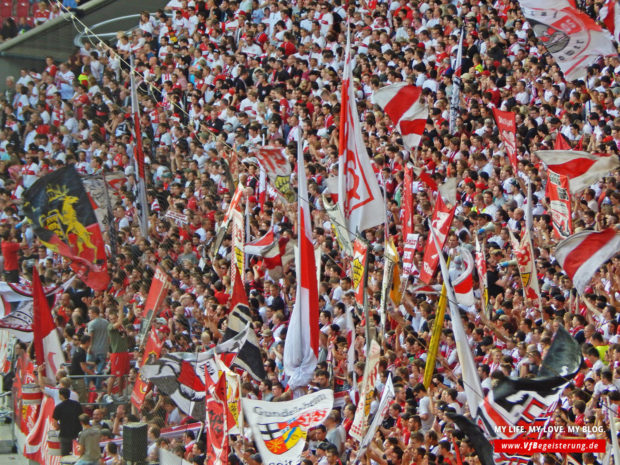 2014_09_20_VfB-Hoffenheim_10