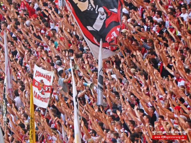2014_09_20_VfB-Hoffenheim_17
