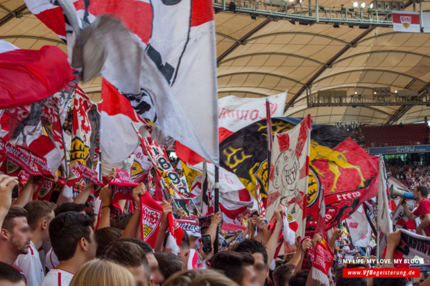 2014_09_20_VfB-Hoffenheim_26