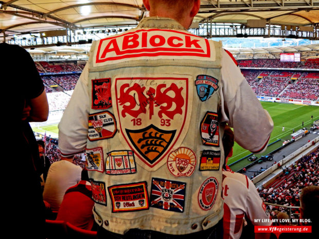 2014_09_20_VfB-Hoffenheim_40