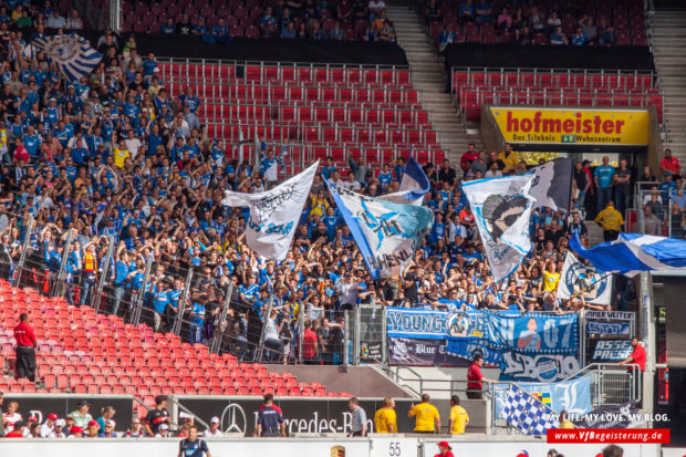 2014_09_20_VfB-Hoffenheim_41