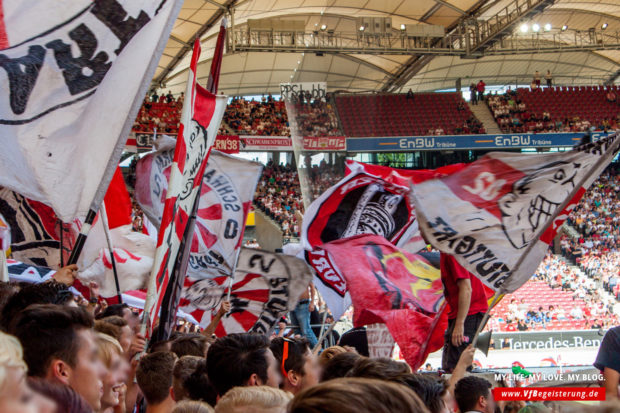 2014_09_20_VfB-Hoffenheim_43