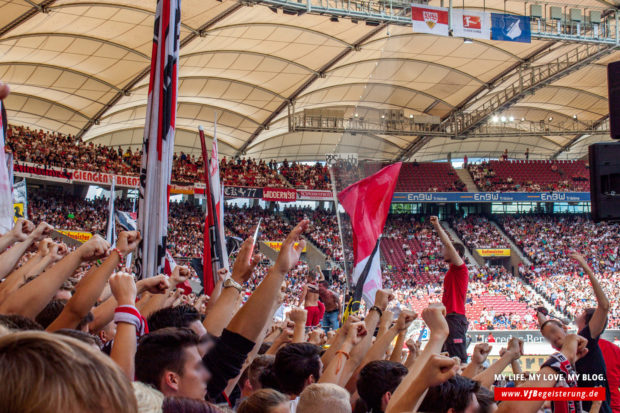 2014_09_20_VfB-Hoffenheim_46