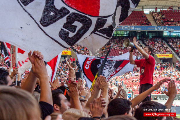 2014_09_20_VfB-Hoffenheim_50