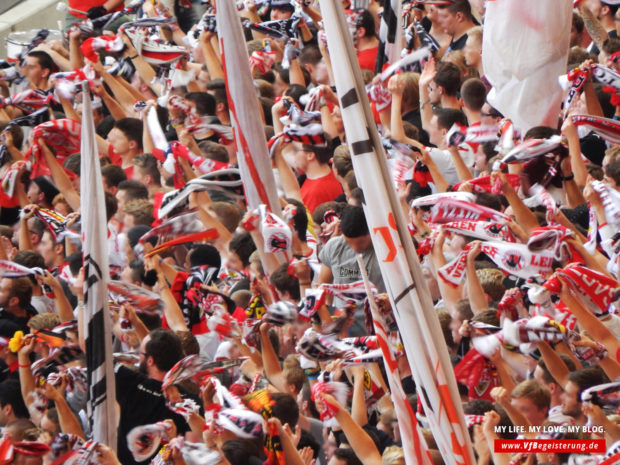 2014_09_20_VfB-Hoffenheim_52