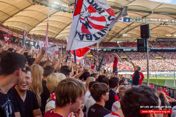 2014_09_20_VfB-Hoffenheim_58
