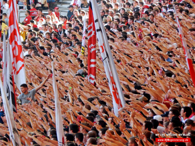 2014_09_20_VfB-Hoffenheim_64