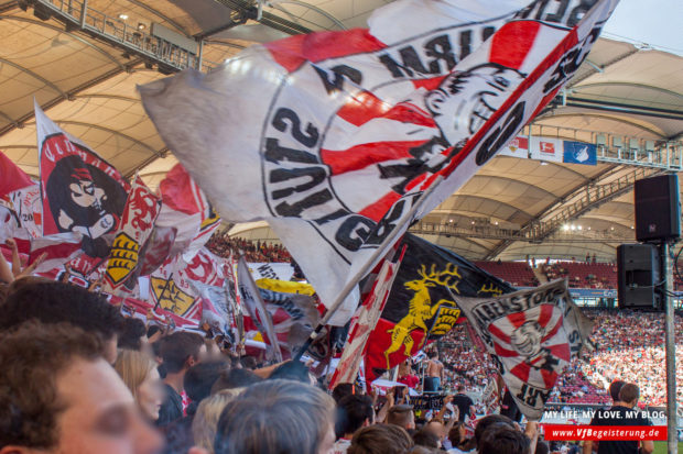 2014_09_20_VfB-Hoffenheim_68