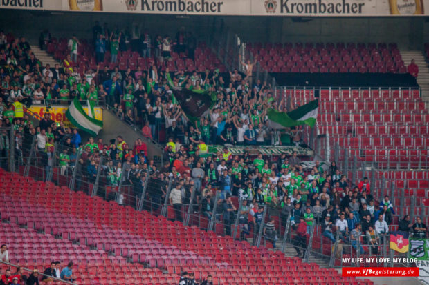 2014_11_01_VfB-Wolfsburg_31
