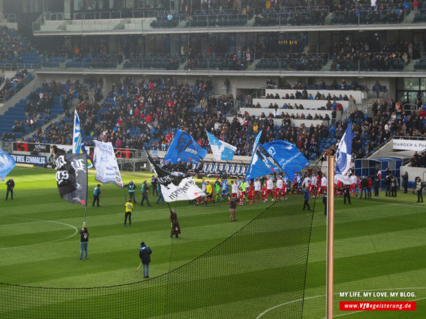 2015_02_14_Hoffenheim-VfB_06