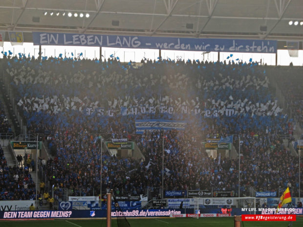 2015_02_14_Hoffenheim-VfB_14