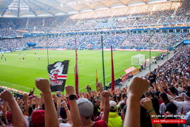 2015_08_22_Hamburg-VfB_32