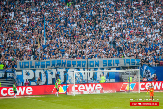 2015_08_22_Hamburg-VfB_34