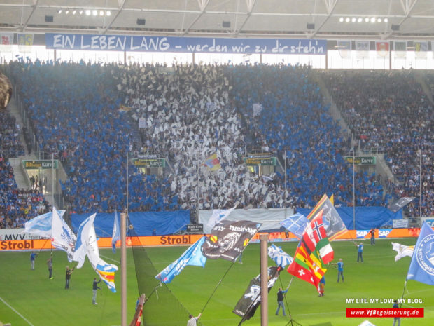 2015_10_04_Hoffenheim-VfB_09