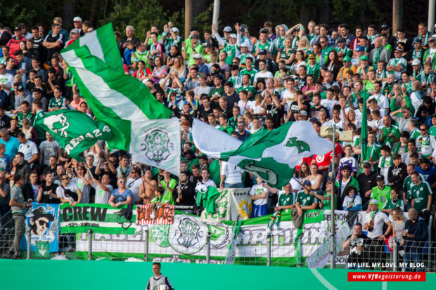 2016_08_20_Homburg-VfB_55