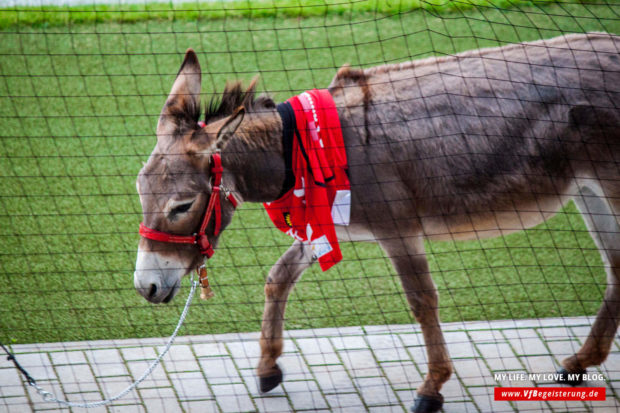 2016_07_03_grossaspach-vfb_05