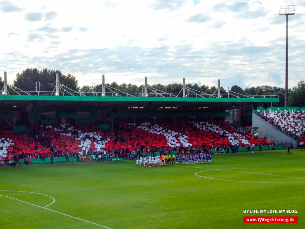 2017_08_13_Cottbus-VfB_17