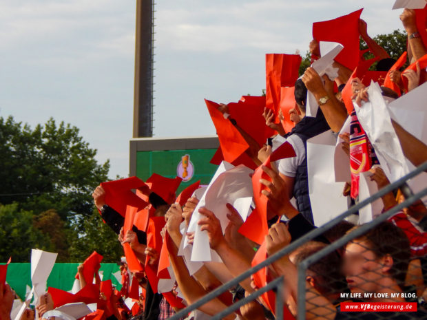 2017_08_13_Cottbus-VfB_22