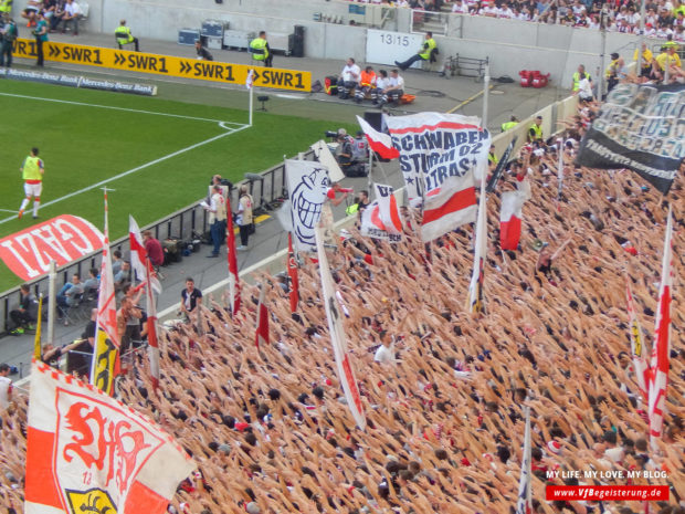 2018_05_05_VfB-Hoffenheim_19