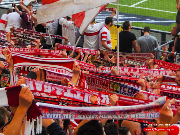 2018_05_05_VfB-Hoffenheim_43